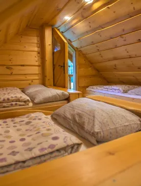 Birinchi tavsif rasmi